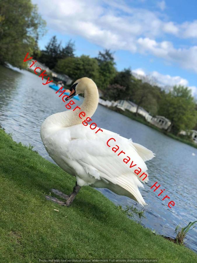 Haggerston Castle Tower Lawn Hire Hotel Berwick Upon Tweed Eksteriør billede